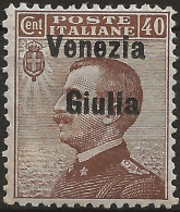 TRVG25L - 1918/19 Terre Redente - Venezia Giulia, Sassone Nr. 25, Francobollo Nuovo Con Traccia Di Linguella */ - Venezia Giuliana