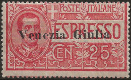 TRVGEx1N - 1919 Terre Redente - Venezia Giulia, Sassone Nr. 1, Espresso Nuovo Senza Linguella **/ - Venezia Giuliana