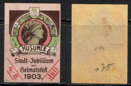 ERINNOPHILIE - ALLEMAGNE / 1903 HUSUM VIGNETTE (ref T2213) - Unused Stamps