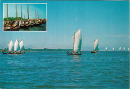 AVEIRO Regata De Moliceiros Postcard PARA MELHOR O SERVIRMOS Slogan Cancel - Aveiro