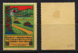 ERINNOPHILIE - DEUTSCHLAND - BLUMEN - ROSE / 1913 FORST LAUSITZ VIGNETTE (ref T2212) - Unused Stamps