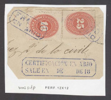 MEXICO. C.1890. Ario. Reg Small Officer Cover Front Bearing Proper Internal Rate 35c Numerals Issue 10c 25c Vermilion Bl - Mexique