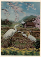 - M57123CPM - FANTAISIES - Herons And Cherries (cerisiers) - Stereo - Relief - 3D - Visiorelief - Très Bon état - THEME - Stereoscope Cards