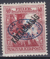 Hongrie Debrecen 1919 Mi 64 * Timbres De Bienfaisance    (A11) - Debreczin