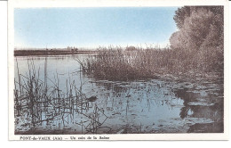 CPA 01 PONT DE VAUX - UN COIN DE LA SAONE - Pont-de-Vaux