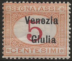 TRVGSx1L - 1918 Terre Redente - Venezia Giulia, Sassone Nr. 1, Segnatasse Nuovo Con Traccia Di Linguella */ - Venezia Julia