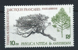 T.A.A.F. PA N°60** (MNH) 1979 - Arbre "Phylica Nitida" - Nuevos