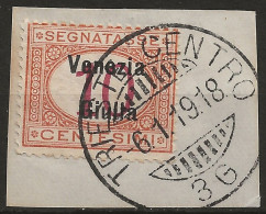 TRVGSx2UFR - 1918 Terre Redente - Venezia Giulia, Sassone Nr. 2, Segnatasse Usato Su Frammento °/ - Venezia Giulia