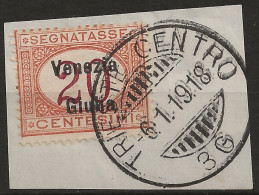 TRVGSx3UFR - 1918 Terre Redente - Venezia Giulia, Sassone Nr. 3, Segnatasse Usato Su Frammento °/ - Venezia Giuliana