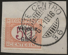 TRVGSx6UFR - 1918 Terre Redente - Venezia Giulia, Sassone Nr. 6, Segnatasse Usato Su Frammento °/ - Venezia Julia