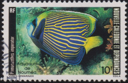 1986 Neukaledonien ° Mi:NC 775, Sn:NC 535, Yt:NC 512, Sg:NC 780, Emperor Angelfish (Pomacanthus Imperator) - Oblitérés