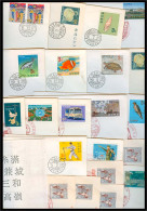 RYUKYU ISLANDS. C.1963-4. 19 Diff FDC / Cachets / Usages. Fine. - Riukiu-eilanden