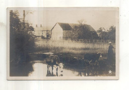 Carte Photo : Ferme, Mare - Da Identificare