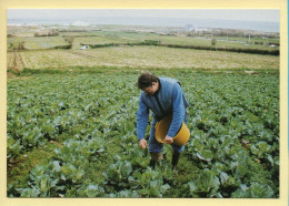 Mr LEMAROIS Fils Met De L'engrais Sur Ses Choux / Tourlaville (50) (Jean-Christophe BORDIER) N° 65 - MUTH - 300 Ex - Bauern