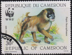 1988 Kamerun ° Mi:CM 1155, Sn:CM 843, Yt:CM 822, Sg:CM 1115,Drill (Mandrillus Leucophalus), World Wildlife Fund (WWF) - Kamerun (1960-...)