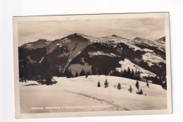 E5831) SAALBACH - SCHATTBERG U. STEMMERKOGEL V., D. Reichkendlalm - Saalbach