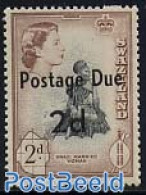 Eswatini/Swaziland 1961 Postage Due 1v, Type I, Mint NH - Swaziland (1968-...)