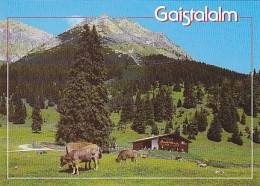 AK 209448 AUSTRIA - Leutasch - Gaistalalm - Leutasch