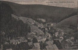 61059 - Wildemann - Partie Am Hüttenberg - 1922 - Wildemann