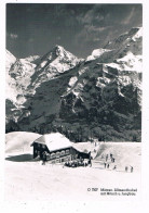 CH-8427  MÜRREN : Allmendhubel - Mürren