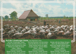 27030 - Lüneburger Heide - Mit Text Von Hermann Löns - Ca. 1995 - Lüneburger Heide