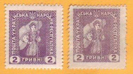 1920 Ukraine Ukraina Ukrainian People's Republic 2 х 2 Hr УНР - Ukraine