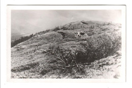 Podkarpatská Rus.Čer.Kleva  Military  Trenches - Ukraine