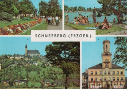 104717 - Schneeberg - U.a. Filzteich - 1972 - Schneeberg