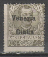 Venezia Giulia 1918 - Effigie 45 C. ( * ) - Venezia Julia