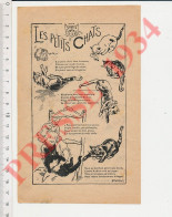 4 Vues 1934 Les Petits Chats Humour Chat Animal Poésie Chat Qui Joue Avec Un Bouchon - Ohne Zuordnung