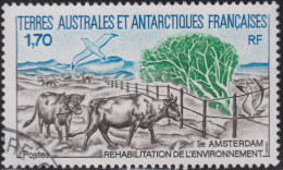 1990 Französische Süd- Und Antarktis ° Mi:TF 260,Yt:TF 149, Sg:TF 260, Environmental Rehabilitation At Amsterdam Island - Used Stamps
