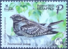 Weißrussland    Vögel   2021  ** - Spechten En Klimvogels
