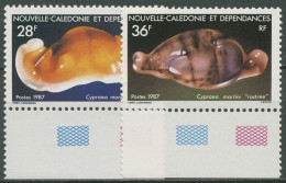 Neukaledonien 1987 Meerestiere Porzellanschnecken 806/07 Postfrisch - Unused Stamps