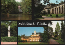 9000377 - Pillnitz (OT Von Dresden) - Schlosspark - Pillnitz