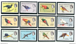 1962 BRITISH HONDURAS - Serie Di 12 Valori- Stanley Gibbons N 202-213 - Birds - - Otros & Sin Clasificación