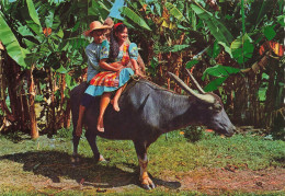 CPSM Carabao-Philippines-Timbre   L2770 - Philippines