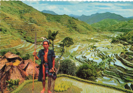 CPSM The Banawe Rice Terraces-Timbre   L2770 - Philippines