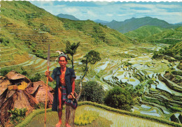 CPSM The Banawe Rice Terraces-Timbre   L2770 - Filippine