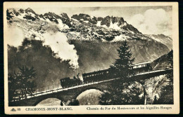 A69  FRANCE CPA CHAMONIX MONT BLANC - CHEMIN DE FER DU MONTENVERS ET LES AIGUILLES ROUGES - Verzamelingen & Kavels