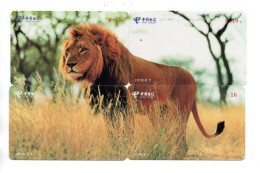 Lion Leo  Puzzle 4 Télécartes Chine Phonecard (P 68) - Chine