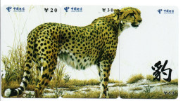 Panthère Animal  Puzzle 3 Télécartes Chine Phonecard (P 80) - Cina