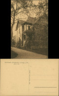 Ansichtskarte Coswig (Sachsen) Lindenhof - Albertvilla 1922  - Coswig