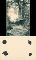 Ansichtskarte Elsterwerda Wikow Stadtpark - Der Pilz 1913  - Elsterwerda