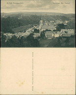 Ansichtskarte Neuhausen (Erzgebirge) Blick Auf Die Stadt - Schloß 1912  - Neuhausen (Erzgeb.)