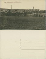 Großschweidnitz (OL) Swóńca Blick Auf Stadt, Landesanstalt 1913  - Grossschweidnitz