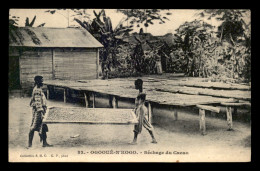 GABON - OGOOUE-N'KOGO - SECHAGE DU CACAO - Gabón