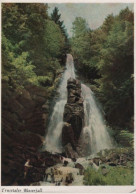 100378 - Trusetaler Wasserfall - Thüringer Wald - Ca. 1970 - Schmalkalden