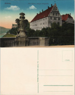 Ansichtskarte Grimma Altes Schloß Und Amtsgericht 1915 - Grimma