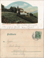 Ansichtskarte Gernsbach Schloss Eberstein - Weinberg 1912 - Gernsbach