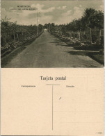Postcard Montevideo AVENIDA DEL JARDIN BOTANICO 1922 - Uruguay